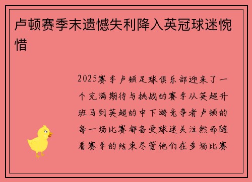 卢顿赛季末遗憾失利降入英冠球迷惋惜